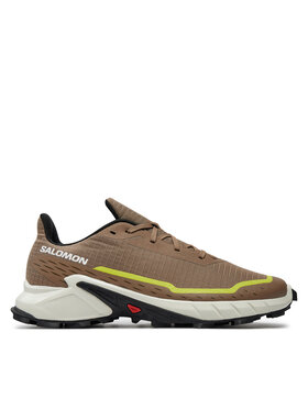Salomon Salomon Jooksujalatsid Alphacross 5 L47460100 Beež