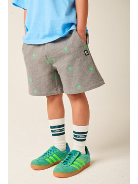 Tumble 'N Dry Tumble 'N Dry Szorty materiałowe TUMBLE Szary Regular Fit