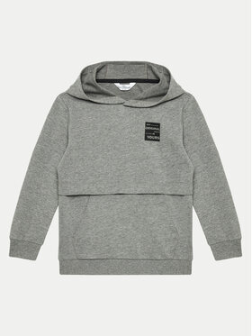 Coccodrillo Coccodrillo Світшот ZC4132301VBA Сірий Regular Fit