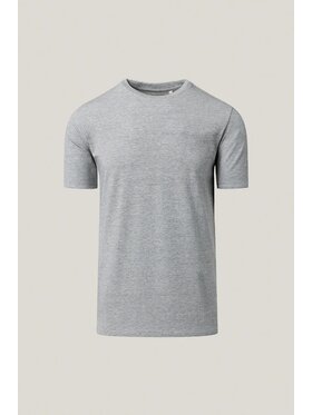 Próchnik Próchnik T-Shirt PM10 TS073226000004 Szary Regular Fit