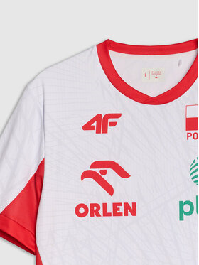 4F 4F T-Shirt TEAMWEAR Kolorowy Regular Fit