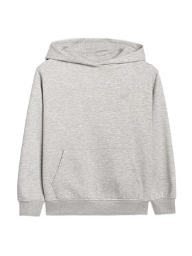 4F 4F Bluza BASIC+ Szary Oversize