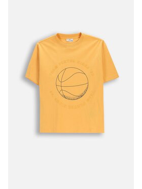 Coccodrillo Coccodrillo T-Shirt WC6143205MBJ-006 Pomarańczowy Regular Fit