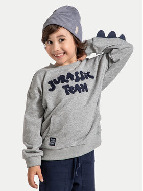 Coccodrillo Coccodrillo Суитшърт ZC4132101DBK Сив Regular Fit