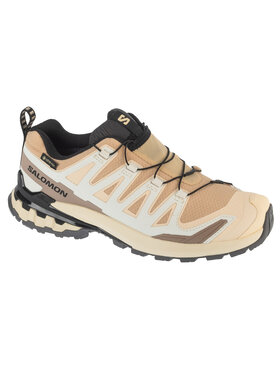 Salomon Salomon Buty do biegania XA Pro 3D v9 GTX W Beżowy