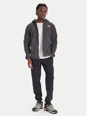 Fleece The North Face φωτογραφία