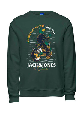 Jack&Jones Junior Džemperis Headon 12220197 Žalia Regular Fit