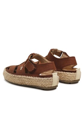 Εσπαντρίγιες EMU Australia φωτογραφία