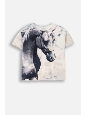 Coccodrillo Coccodrillo T-Shirt WC6143201GGJ-022 Barevná Regular Fit