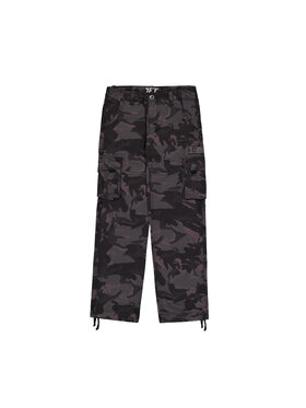 Alpha Industries Alpha Industries Spodnie cargo Jet Camo Pant Kolorowy Straight Leg