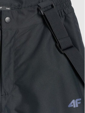 4F 4F Spodnie narciarskie SKI CLASSIC Czarny Regular Fit