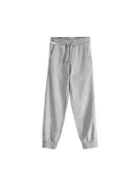 Coccodrillo Coccodrillo Spodnie dresowe ZC6120103VBA-019 Szary Regular Fit