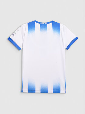 4F 4F Koszulka techniczna TEAMWEAR Kolorowy Regular Fit