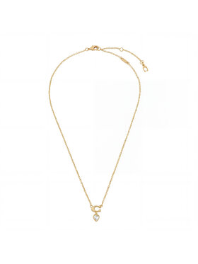 Σετ κολιέ και σκουλαρίκια Coach φωτογραφία