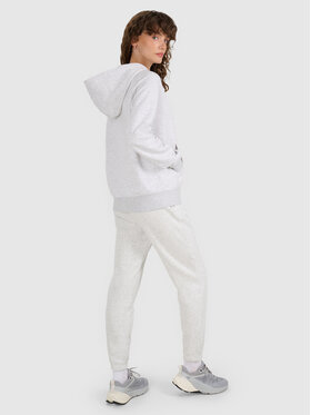 4F 4F Spodnie dresowe 4FWMM00TTROF1138-27M Szary Regular Fit