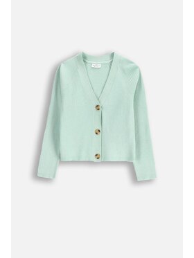 Coccodrillo Coccodrillo Sweter WC5172201HGK-031 Zielony Regular Fit