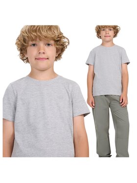 4F 4F Tričko 4FJWMM00TTSHM2330-25M Sivá Regular Fit