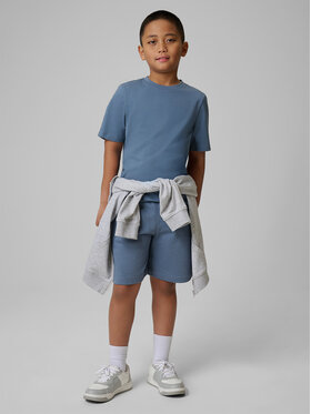 4F 4F Szorty sportowe BASIC+ Regular Fit