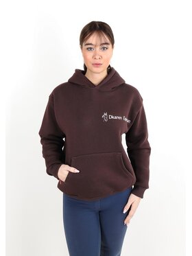 DKaren Sport DKaren Sport Bluza Eq 001 Brązowy Classic Fit