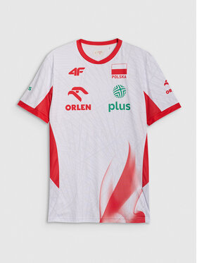 4F 4F T-Shirt TEAMWEAR Kolorowy Regular Fit