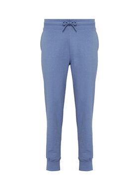 4F 4F Dressipüksid 4FAW23TTROF474 Sinine Regular Fit