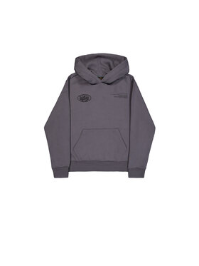Alpha Industries Alpha Industries Bluza World Logo Backprint Hoodie Szary Loose Fit