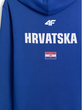 4F 4F Bluza TEAMWEAR Niebieski Regular Fit