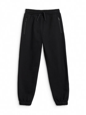 4F 4F Spodnie dresowe STREET SPORT Czarny Regular Fit
