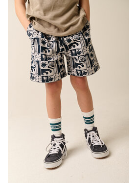 Tumble 'N Dry Tumble 'N Dry Szorty materiałowe TUMBLE Szary Regular Fit