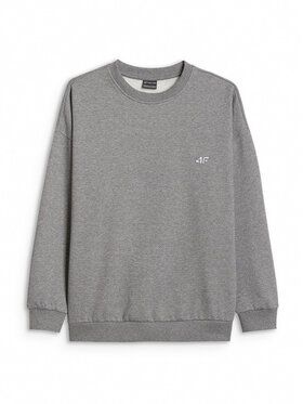 4F 4F Bluza SHINE ACADEMY Szary Loose Fit