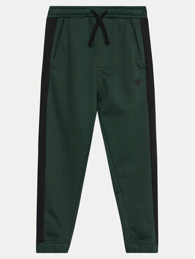 4F 4F Спортивні штани 4FJWAW24TTROM759 Зелений Regular Fit