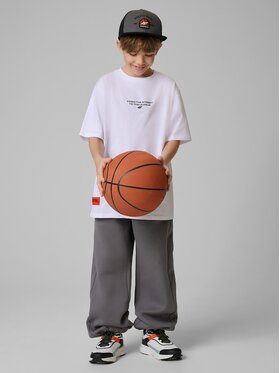 4F 4F Spodnie dresowe STREET SPORT Szary