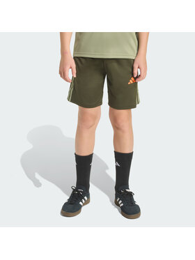 adidas adidas Szorty sportowe 143211 Zielony Regular Fit