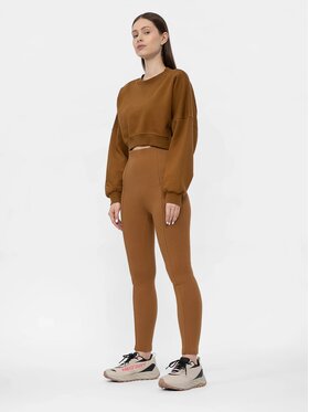 4F 4F Legginsy 4FAW22TTROF260-81S Brązowy Regular Fit