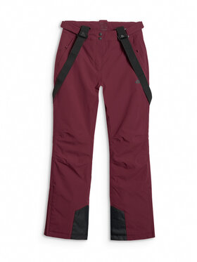 4F 4F Spodnie narciarskie SKIWEAR Bordowy Regular Fit