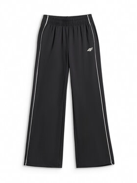 4F 4F Spodnie dresowe AQUA FORCE Czarny Regular Fit