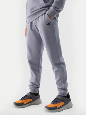 4F 4F Спортивні штани 4FJWSS24TTROM591 Голубий Regular Fit