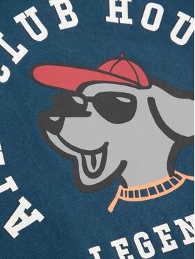 T-Shirt Coccodrillo φωτογραφία