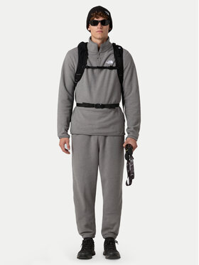 Fleece The North Face φωτογραφία