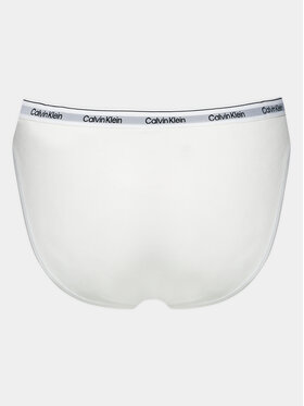 Calvin Klein Underwear Klašične Gaćice 000QD5044E Bijela