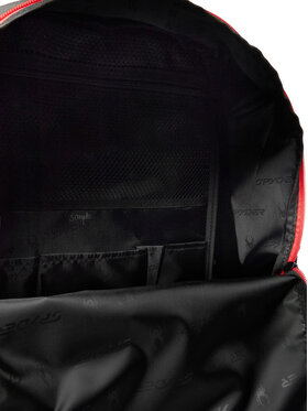 Σακίδιο Spyder φωτογραφία