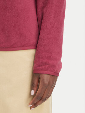 Fleece The North Face