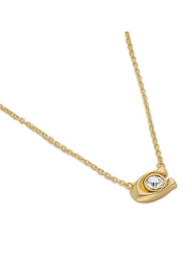 Σετ κολιέ και σκουλαρίκια Coach φωτογραφία