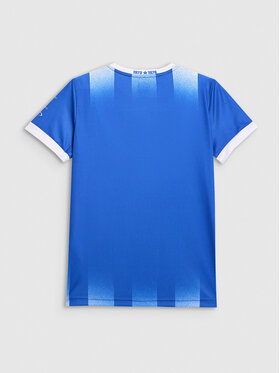 4F 4F Koszulka techniczna TEAMWEAR Kolorowy Regular Fit