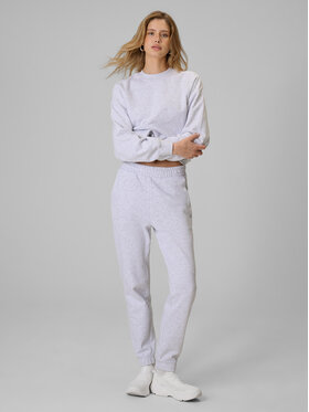 4F 4F Spodnie dresowe basic Szary jasny Regular Fit