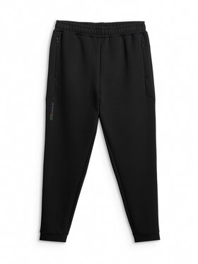 4F 4F Spodnie dresowe IN MOTION Czarny Regular Fit