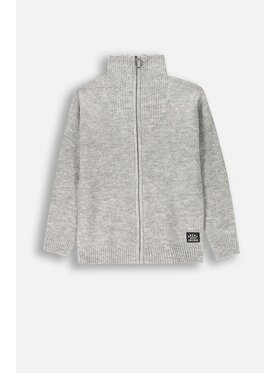 Coccodrillo Coccodrillo Sweter ZC4172202ABJ-019 Szary Regular Fit