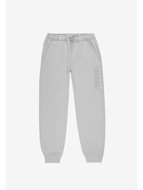 PROSTO. PROSTO. Spodnie dresowe Zink Szary Regular Fit
