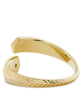 Δαχτυλίδι Fossil φωτογραφία