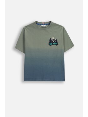 Coccodrillo Coccodrillo T-Shirt ZC5143204YBJ-011 Zelená Regular Fit